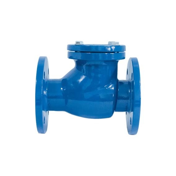 Свинговые клапаны из литого железа DIN Standard Ductile Iron Check Valves